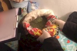 
                    Житель Туркестанской области хранил дома крупную партию марихуаны
                