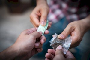 МВД РК проводится проверка по обвинению павлодарских полицейских в причастности к наркоторговле