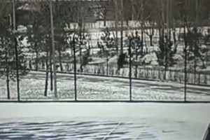 Полиция Астаны нашла злоумышленников, избивших и ограбивших прохожего