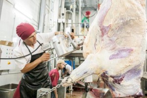 
                    Производство продуктов питания значительно выросло в Алматинской области
                