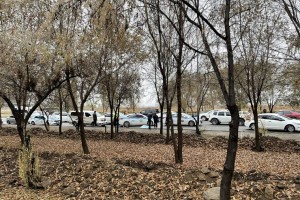 На пешеходном переходе в Алматы водитель сбил насмерть женщину и скрылся
