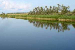 В Казахстане изменились требования конкурсов по предоставлению охотничьих угодий