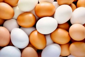 
                    Яйца подорожали на 30%: как птицеводы объясняют рост цен
                