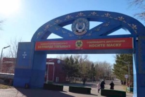 В Центральном парке Караганды неизвестные разбросали отравленные продукты