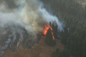 Пожар произошел в горах Алматинской области