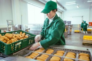 В Казахстане заработали критерии работы бизнеса во время пандемии