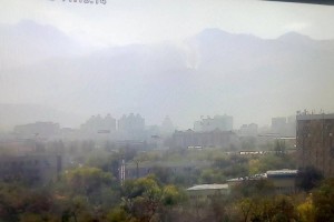 
                    На Кок-Жайляу горит сухостой
                