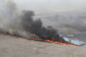 
                    В Атырау жалуются на запах гари: на побережье Каспийского моря горит камыш
                