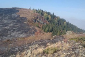
                    Локализован пожар в двух лесничествах ВКО
                