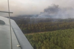 
                    Локализован природный пожар в Аулиекольском районе Костанайской области
                