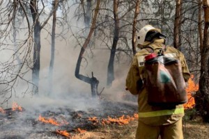 
                    В Костанайской области выросло число пострадавших в пожарах
                