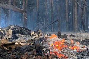 
                    В Костанайской области продолжается борьба с сильным лесным пожаром
                