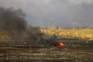 
                    Крупное возгорание сухостоя произошло близ Алматы
                