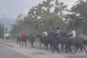 
                    Как наказали участников кокпара в Алматинской области, рассказали в ДП
                