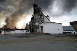 
                    В Костанайской области в пожаре на элеваторе сгорело 1040 тонн льна
                