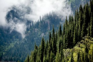 
                    Заблудившиеся: в горах близ Алматы спасли семью из трех человек
                