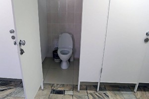 
                    Психбольной пытался изнасиловать двух школьниц в туалете в Алматинской области
                