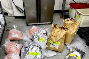 
                    Пресечен контрабандный канал поставки онкопрепаратов
                