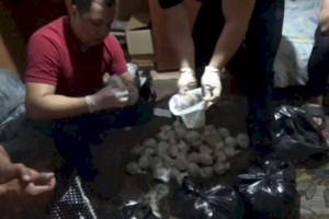 
                    В Семее изъяли особо крупную партию наркотиков
                
