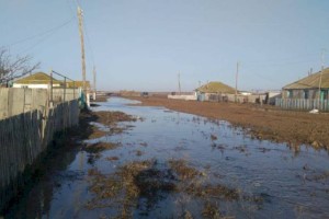 
                    В Алматинской области подтопило два населенных пункта
                