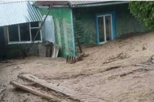 
                    В Текели спасатели ищут пропавшую во время схода селя пятилетнюю девочку
                