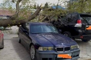 
                    В Петропавловске ураган снес крыши с домов
                