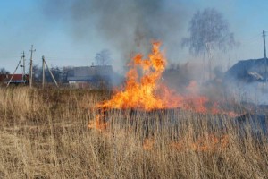 
                    Частный дом едва не сгорел от загорания сухой травы в Алматы
                