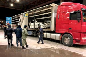 
                    На въезде в Казахстан из Узбекистана пограничники пресекли ввоз контрабандных авто
                