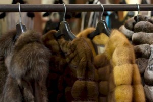
                    В Алматы мошенница продавала несуществующие шубы
                