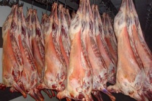 Минсельхоз РК увеличит долю экспорта баранины в арабские страны