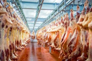 Казахстан налаживает экспорт мяса в Саудовскую Аравию