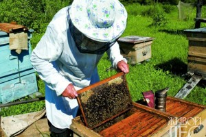Какую продукцию и в какие страны планируют поставлять казахстанские предприятия