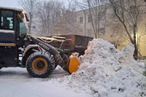 Свыше 57 тыс. кубометров снега вывезено в Астане