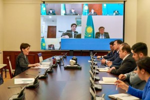 В Казахстане упростят подачу заявок на участие в программе «Ауыл аманаты»