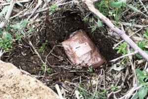 
                    Закладчиков синтетики задержали в Алматы
                