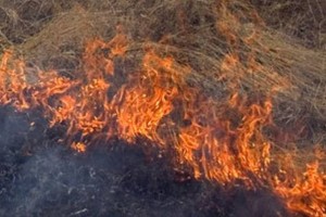 
                    Склон горы загорелся близ микрорайона Думан в  Алматы
                