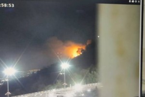 
                    Пожар на склоне горы едва не перешел на АЗС в Алматы
                