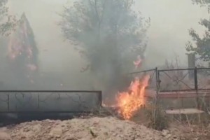 
                    Бурундайское кладбище горело в Алматы
                