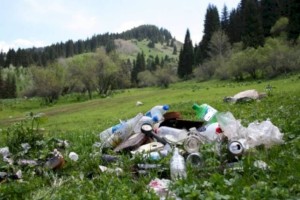
                    Алматинку оштрафовали за выброшенный на природе мусор
                