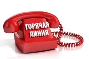 
                    На телефон «горячей линии» ОФ «Дорогу молодым» поступило 48 обращений
                