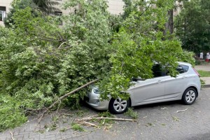 
                    Последствия непогоды в Алматы: повреждены четыре автомобиля
                