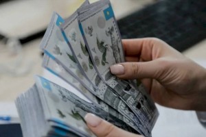 
                    Сиделку парализованного мужчины подозревают в краже
                