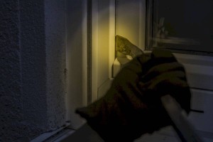 
                    Не сразу распознала в грабителе односельчанина жительница Алматинской области
                
