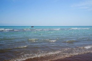 
                    Из-за браконьеров Капшагай скоро может остаться без рыбы
                