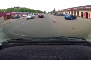 
                    Маленькая девочка выпала из движущегося авто в Алматинской области
                