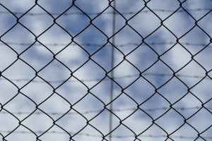 
                    Особо опасную транснациональную ОПГ ликвидировали казахстанские спецслужбы
                
