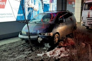 
                    Пьяный водитель повредил посаженный возле магазина Sulpak в Алматы дуб
                
