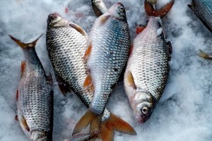 
                    Четверых рыбаков спасли на Капшагайском водохранилище
                