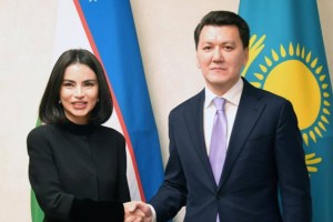 Государственный советник Ерлан Карин провел встречу с помощником президента Узбекистана