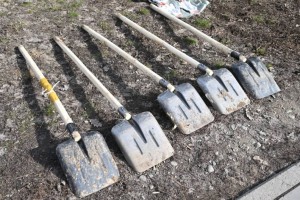 
                    Almaty Clean & Green: общегородская экоакция пройдет в день «Тазару күні»
                